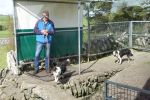 PICTURES/The Burren - Coherconnel Fort & Sheepdog Demonstration/t_DSC04948.JPG